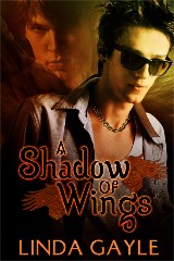 a shadow of wings Linda Gayle's A Shadow Of Wings